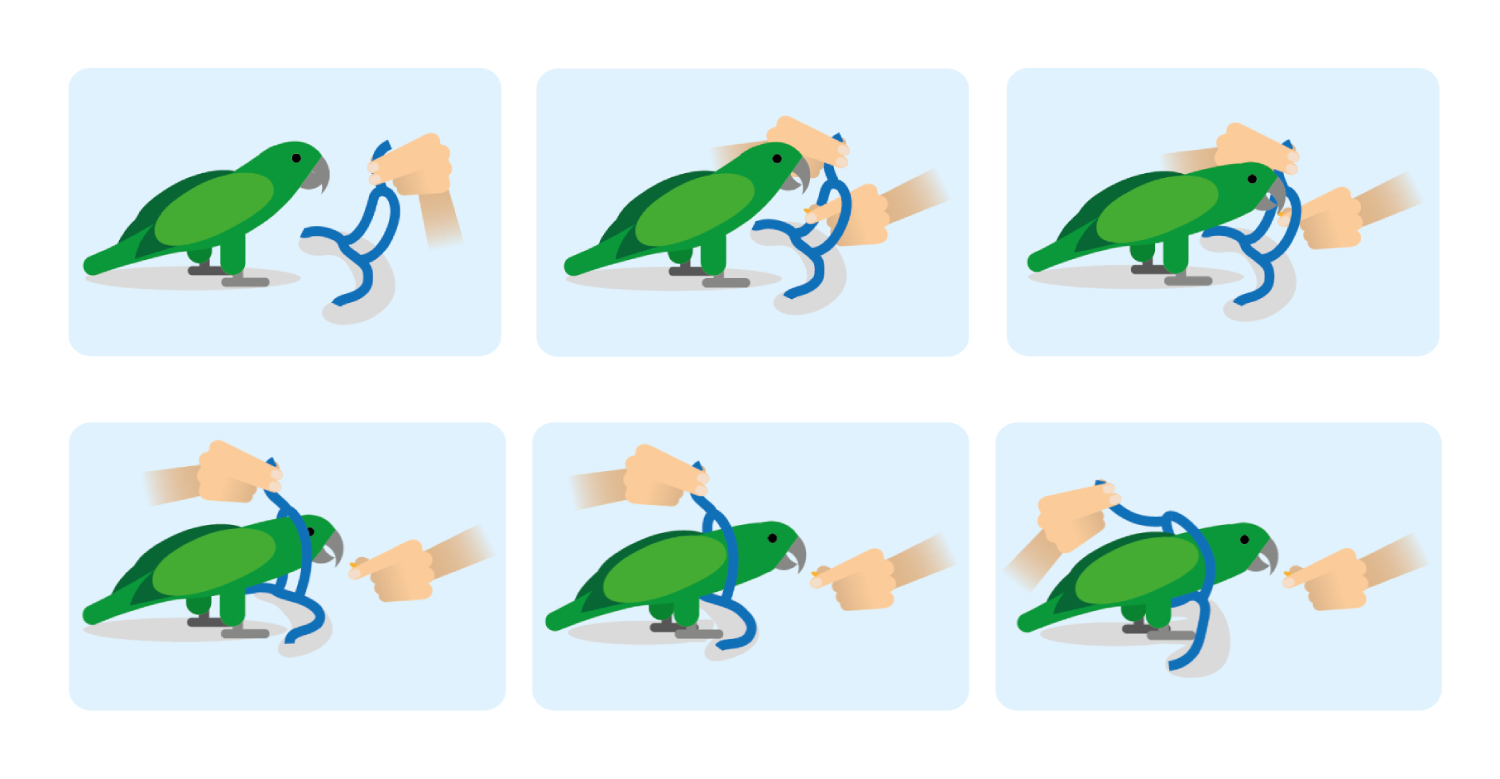 Piirroskuva valjaskoulutuksen edistymisestä.